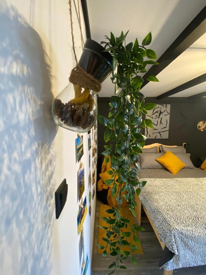 Ferienwohnung Night Lotus Hunedoara Exterior foto